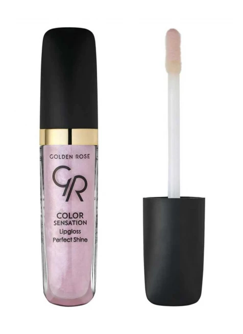 R-GCS-101